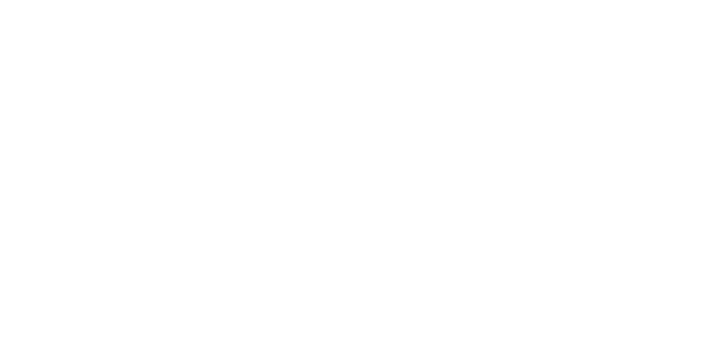 logo light